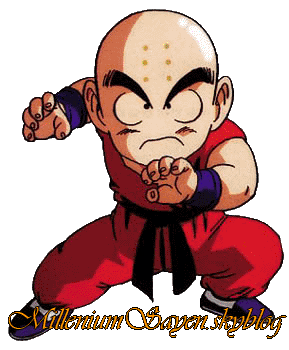 dragon ball z